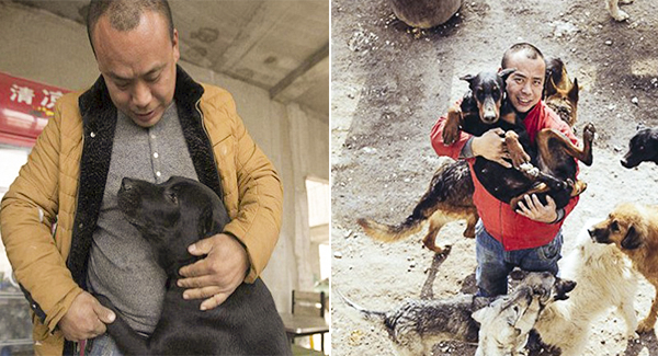 Chinese Millionaire Spends All His Fortune Saving Stray Dogs From The Slaughterhouse After His Beloved Pooch Disappeared 