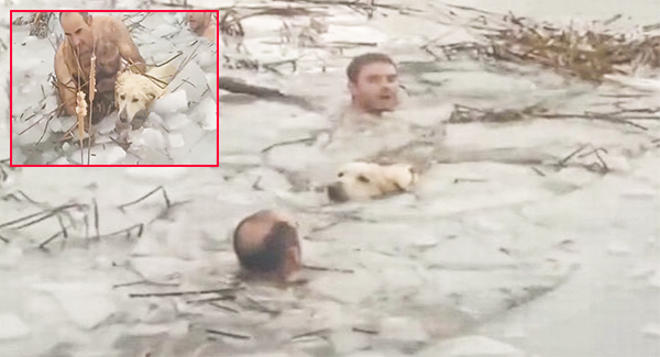 Spanish Police Officers Wade Through Frozen Lake To Save A Dog Trapped In Icy Waters