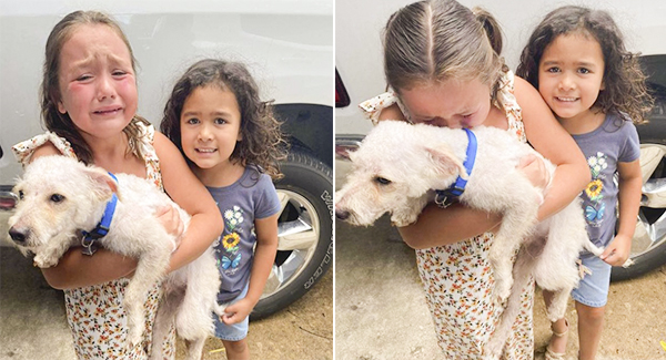 Little Girl Can’t Stop Crying Tears Of Joy When Her Lost Dog Is Finally Found