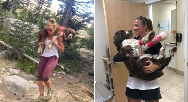 Woman Finds An Injured Dog On A Mountain And Carries Him 7 Miles To Get Help