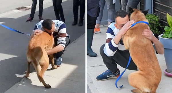 The Emotional Reunion Of Owner And Dog Sᴛᴏʟᴇɴ More Than 4 Months