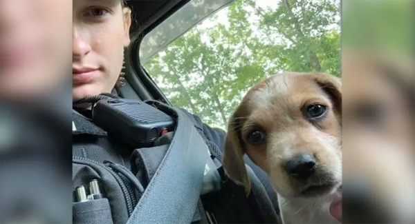 Police Officer Adopts Abandoned Pup He Found On Duty: “Makes You Feel Good”